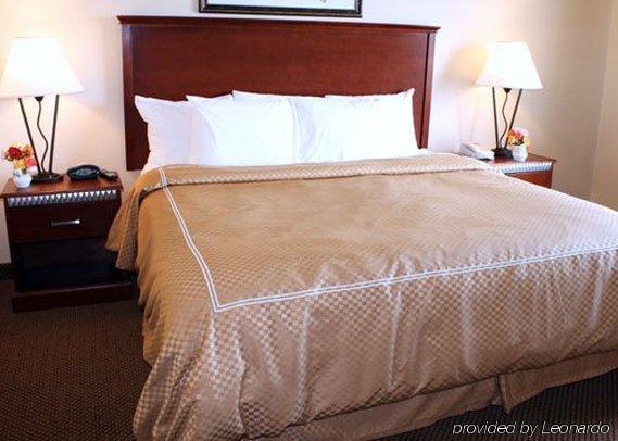 Comfort Suites Wixom Rum bild